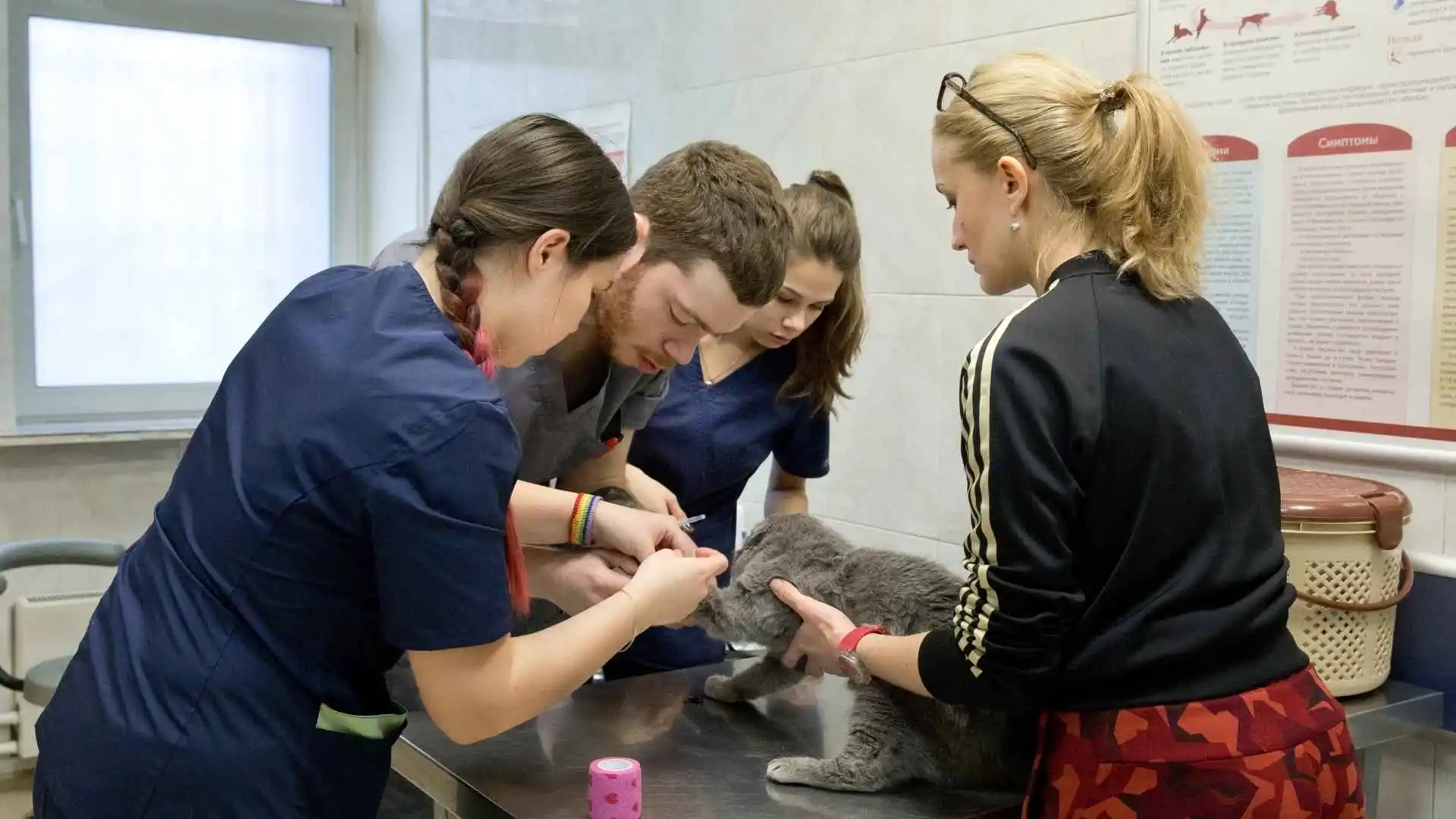 How tech can help vet practices fight stress and burnout Vetstoria webinar