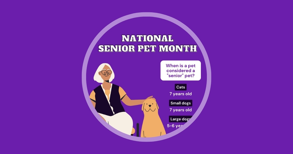 Australia Edition 8 Veterinary Marketing Ideas To Use in November