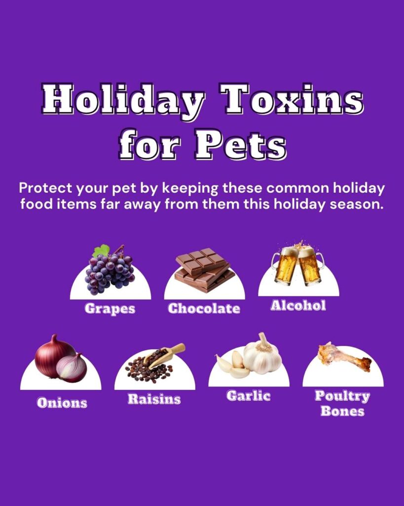 Holiday toxins for pets vetstoria freebies AU