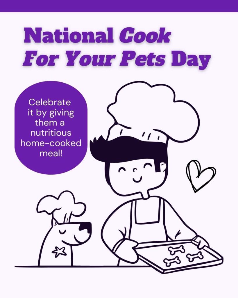 National cook for your pet day Vetstoria November freebies