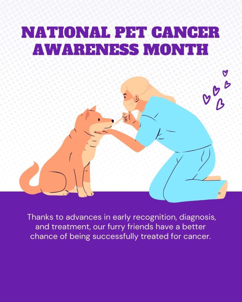National pet cancer awareness month vetstoria freebies