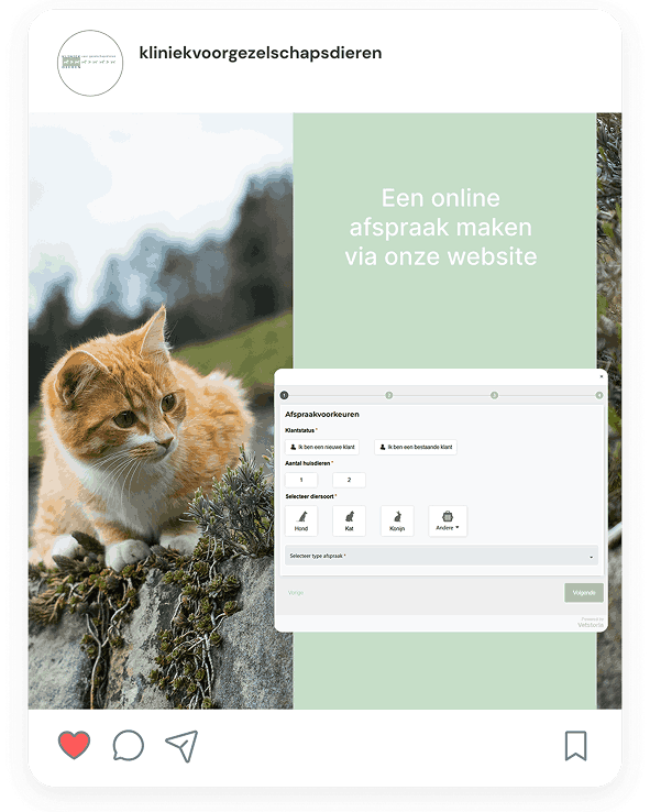 Online booking promotion Kliniek voor Gezelschapsdieren Vetstoria Case Study