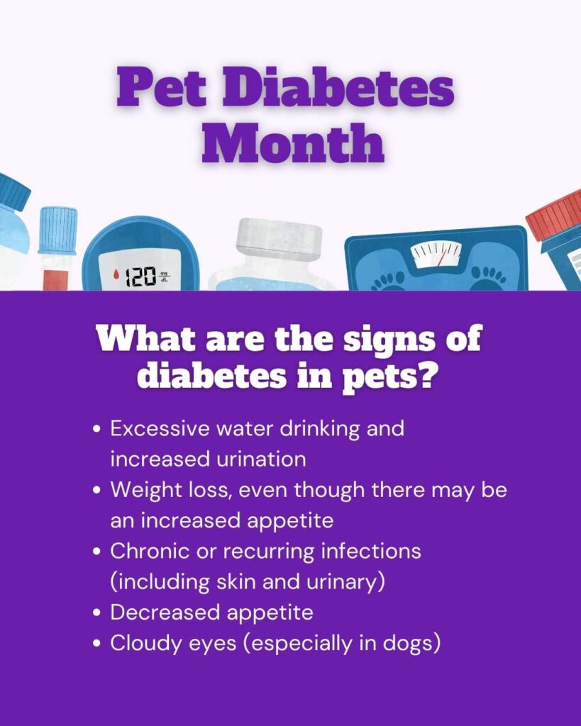 Pet Diabetes month Vetstoria November freebies