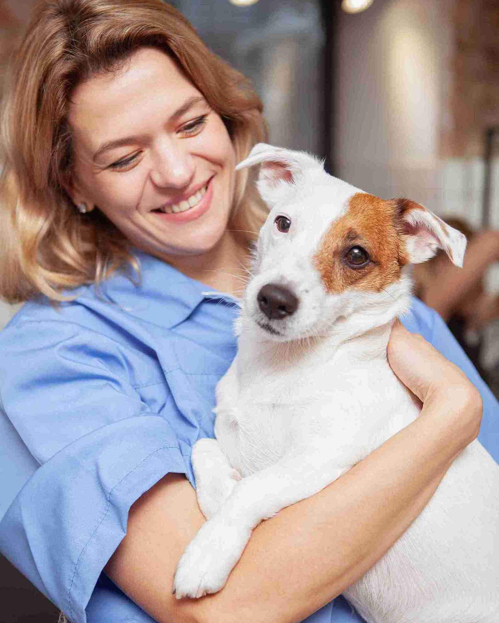 Vet staff Kliniek voor Gezelschapsdieren Vetstoria Case Study