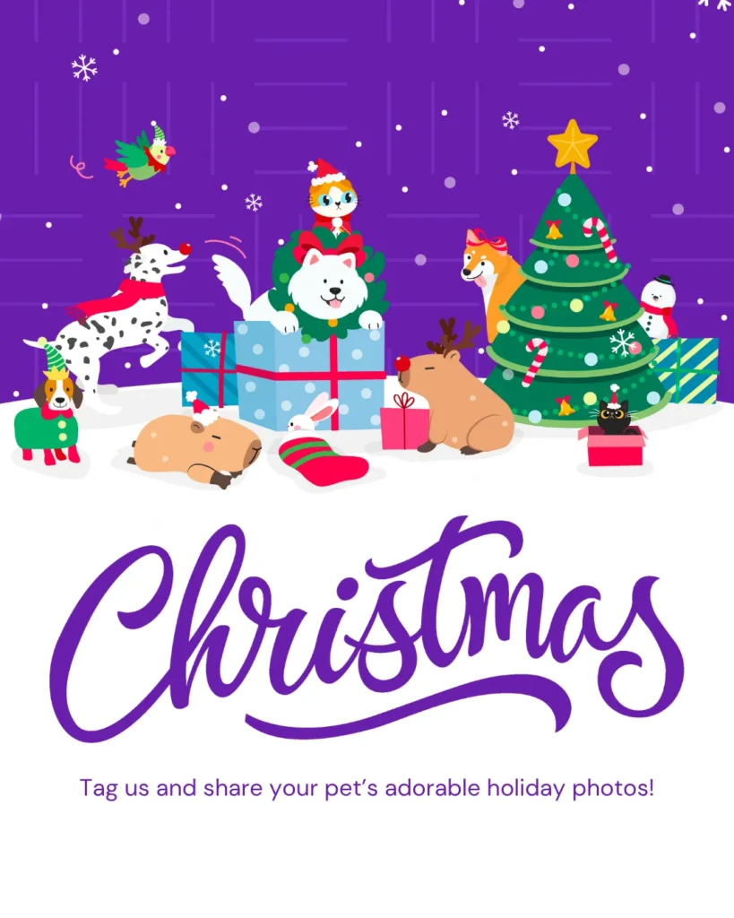 Christmas Day vetstoria December freebies