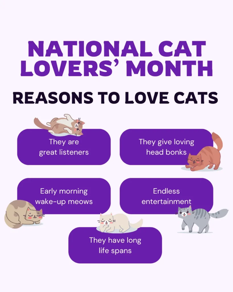 National Cat Lovers’ Month vetstoria December freebies