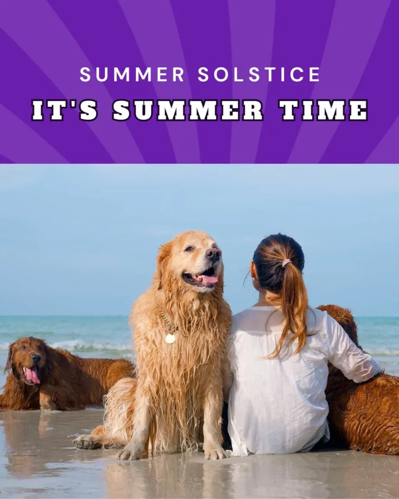 Summer Solstice vetstoria december freebies AU
