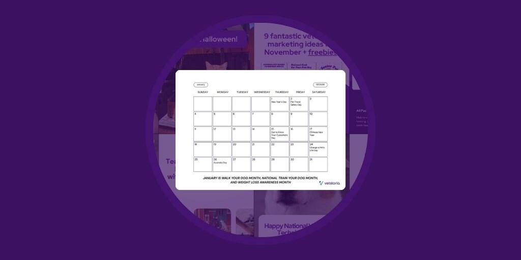 2026 Pet Holidays and Key Veterinary Awareness Dates - Australia - Vetstoria blog