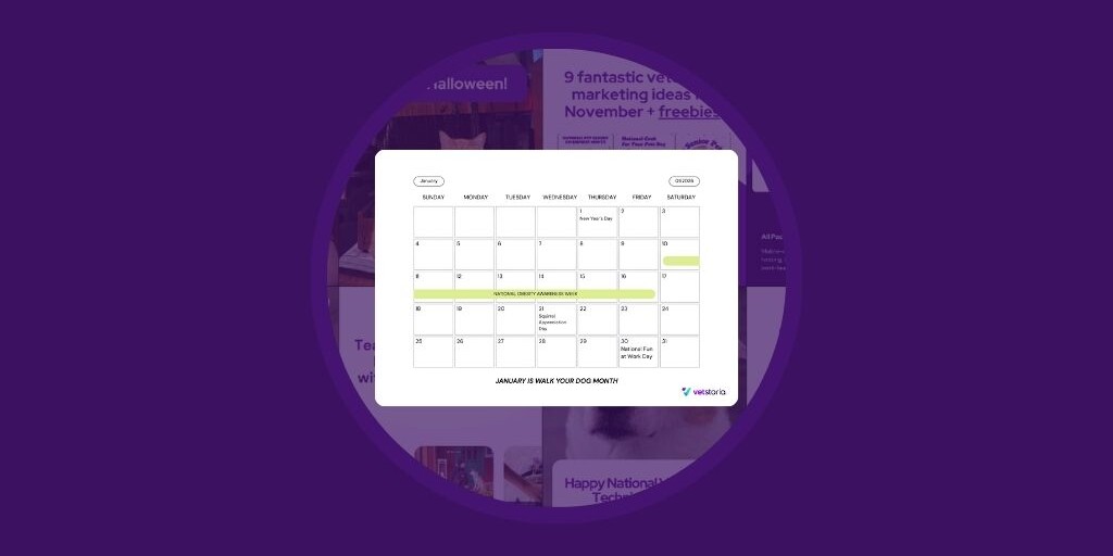 2026 Pet Holidays and Key Veterinary Awareness Dates UK & EU - Vetstoria blog