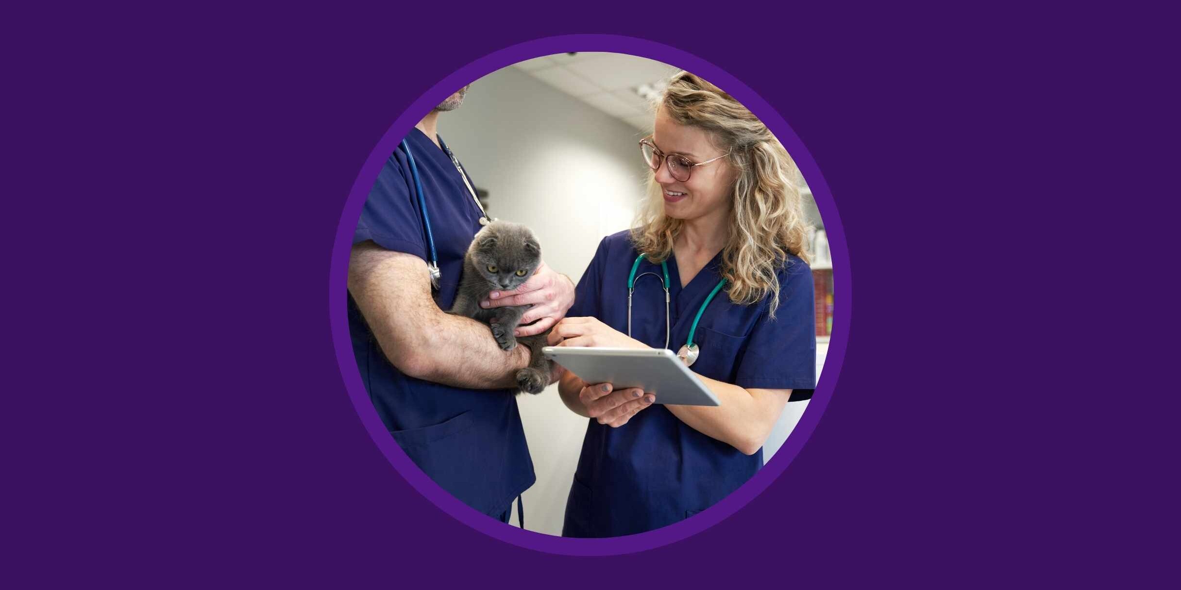 The Ultimate Veterinary Marketing Guide Vetstoria blog