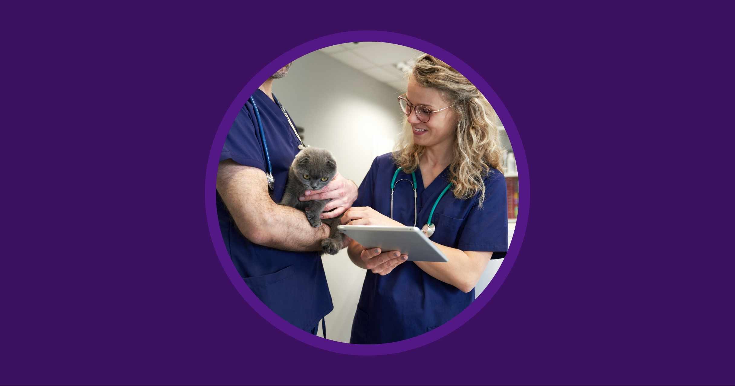 The Ultimate Veterinary Marketing Guide Vetstoria blog