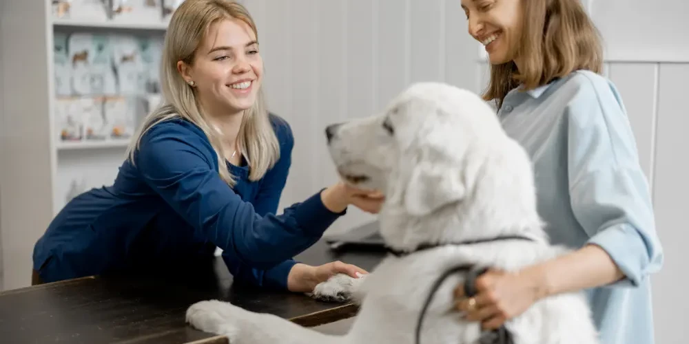 Vetstoria - Benefits - Improve Client Acquisition