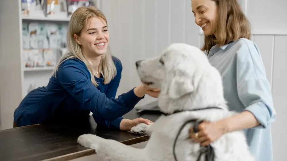Vetstoria - Benefits - Improve Client Acquisition