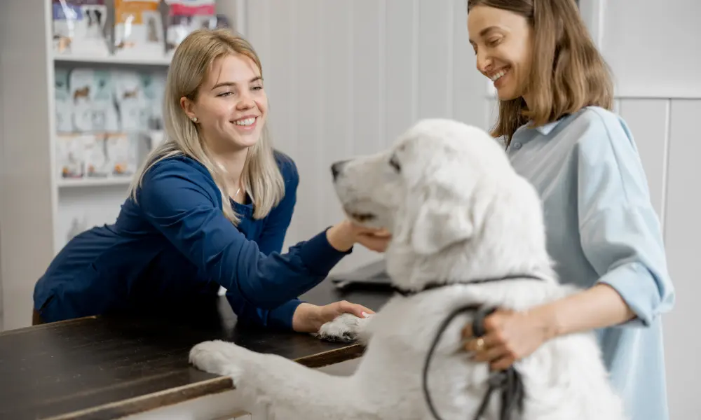 Vetstoria - Benefits - Improve Client Acquisition
