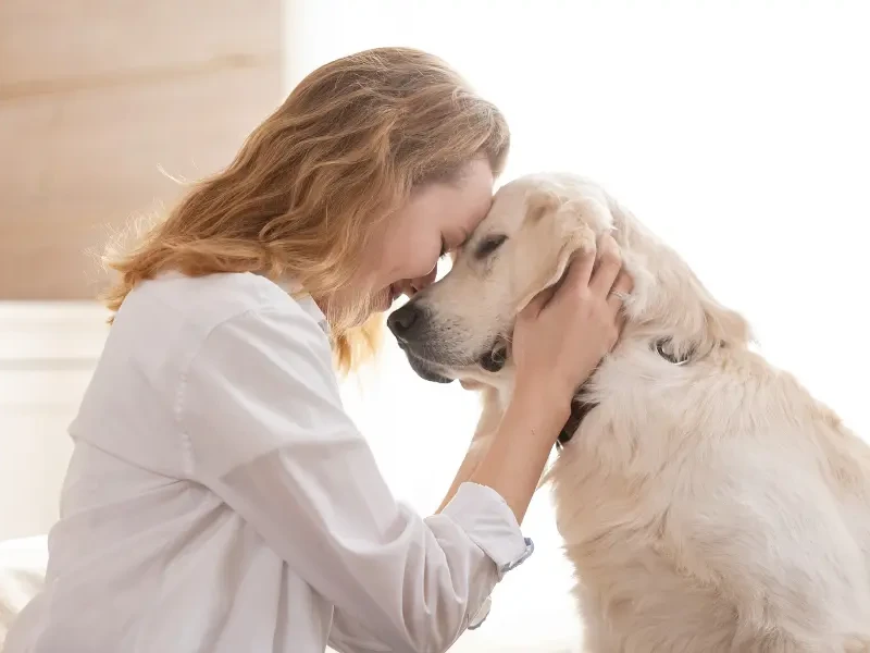 Vetstoria - Benefits - Improve pet owner experience