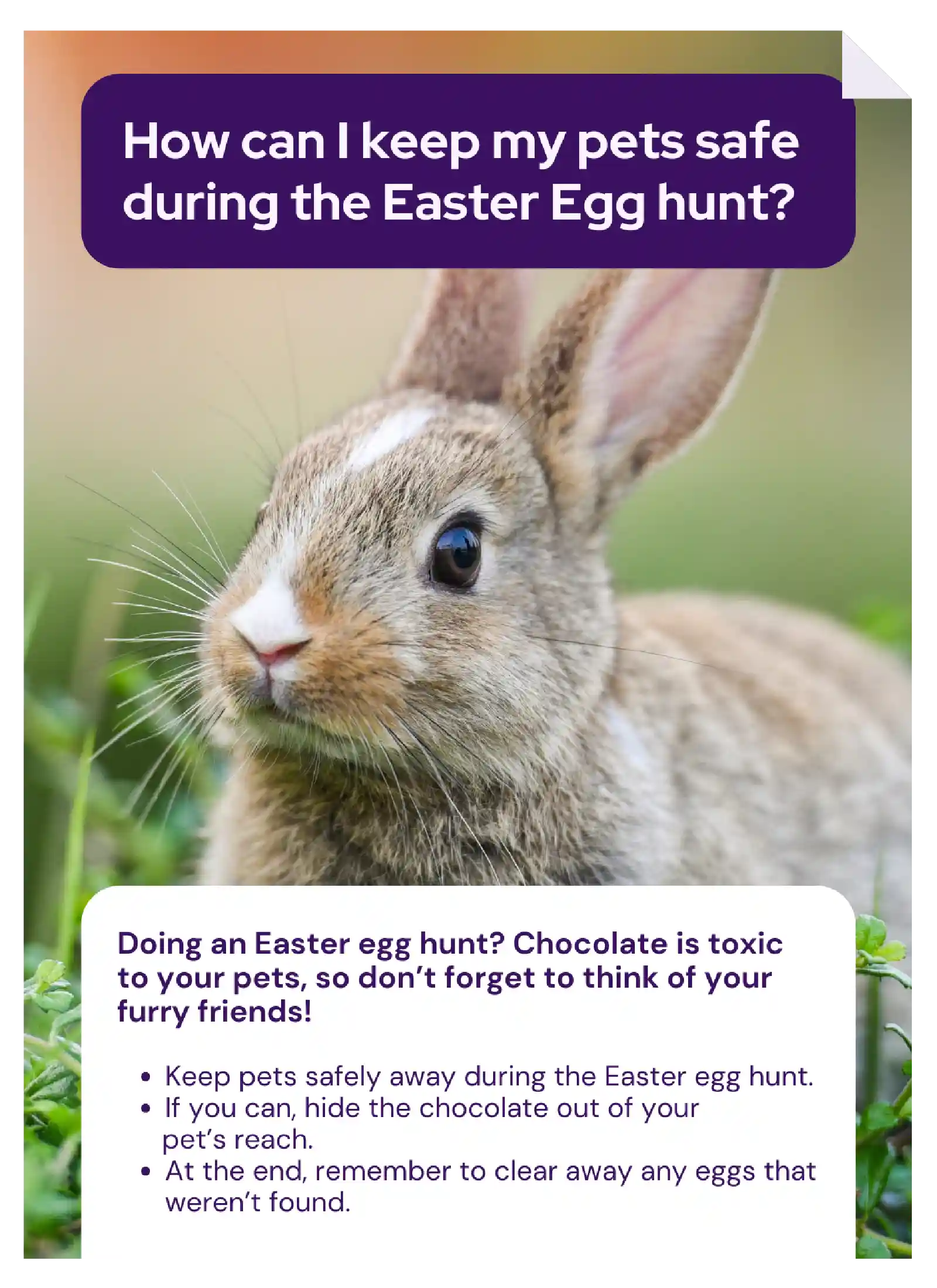 Vetstoria Easter content pack feature image 2