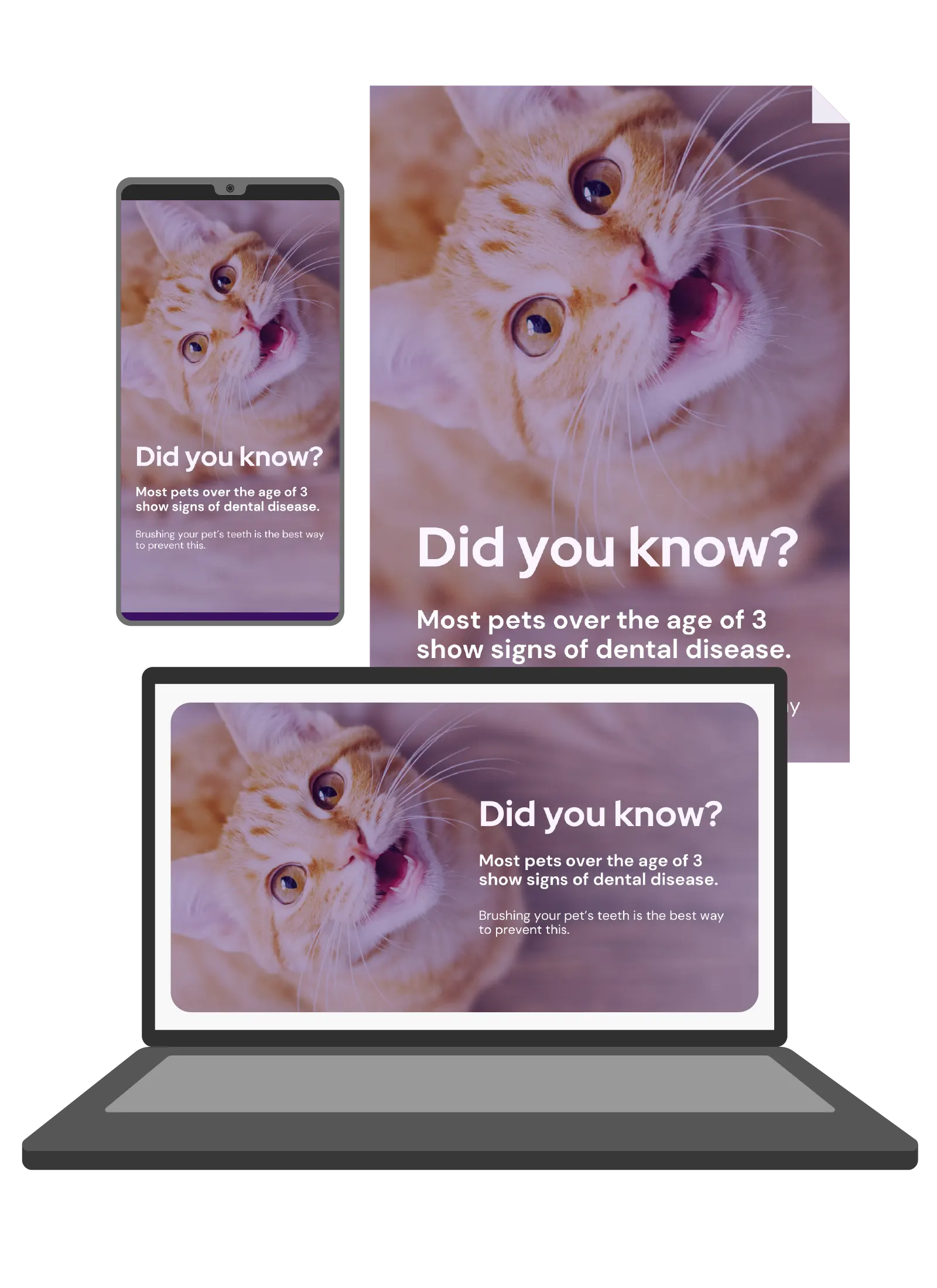 Vetstoria content pack - brush your pet's teeth feature image 2