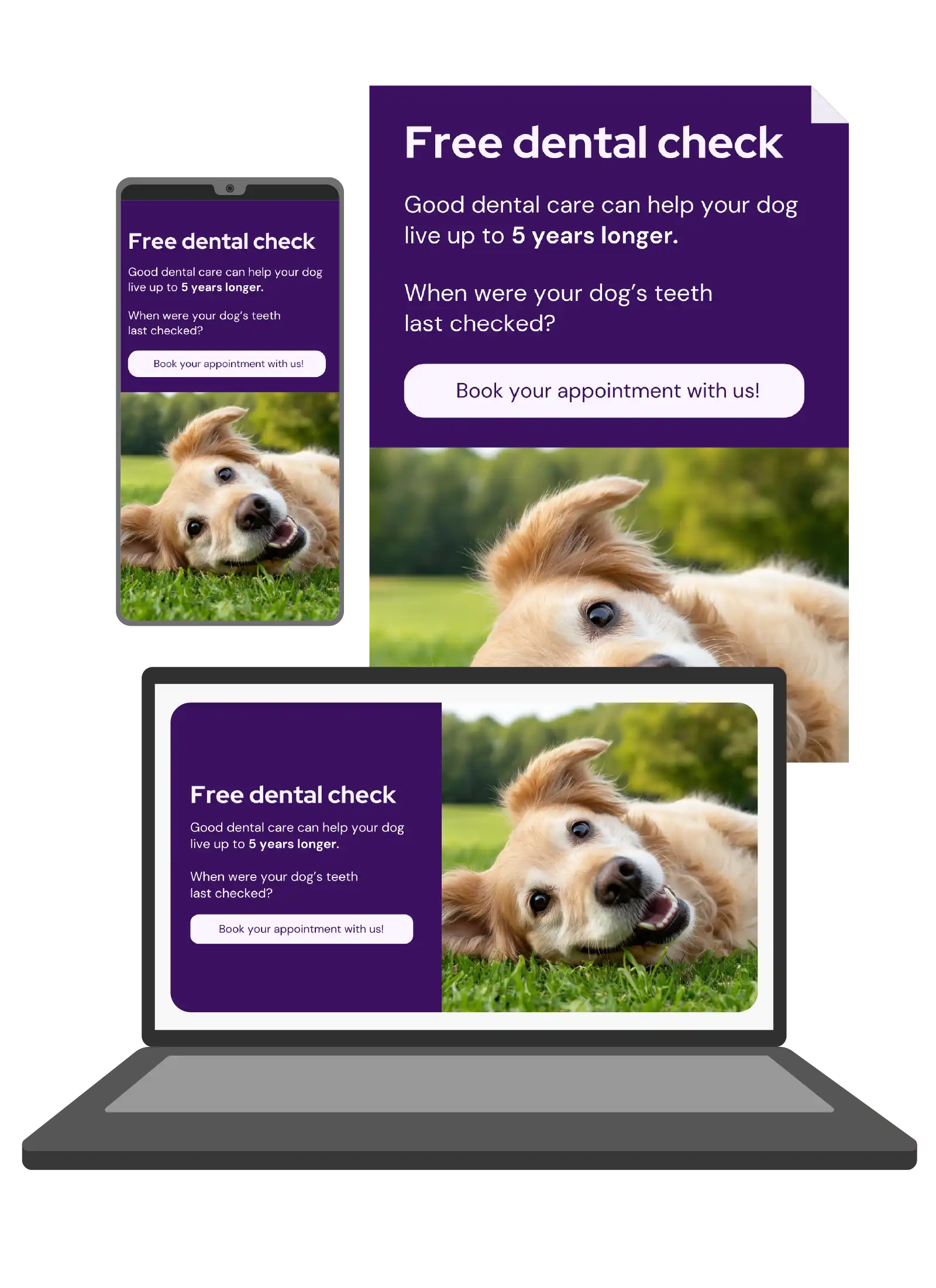 Vetstoria content pack - dental check feature image 1