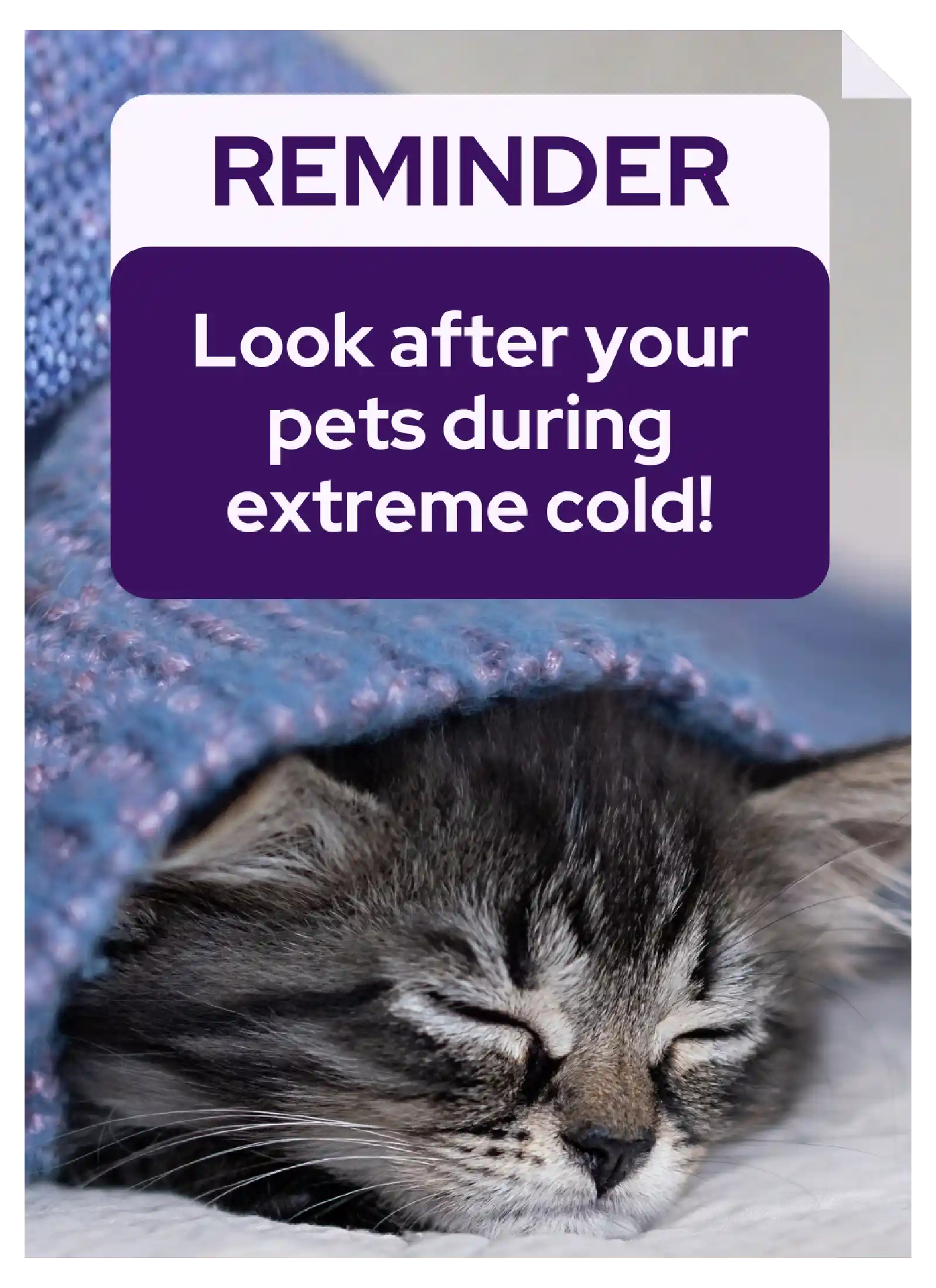 Vetstoria content pack - extreme cold feature image 1