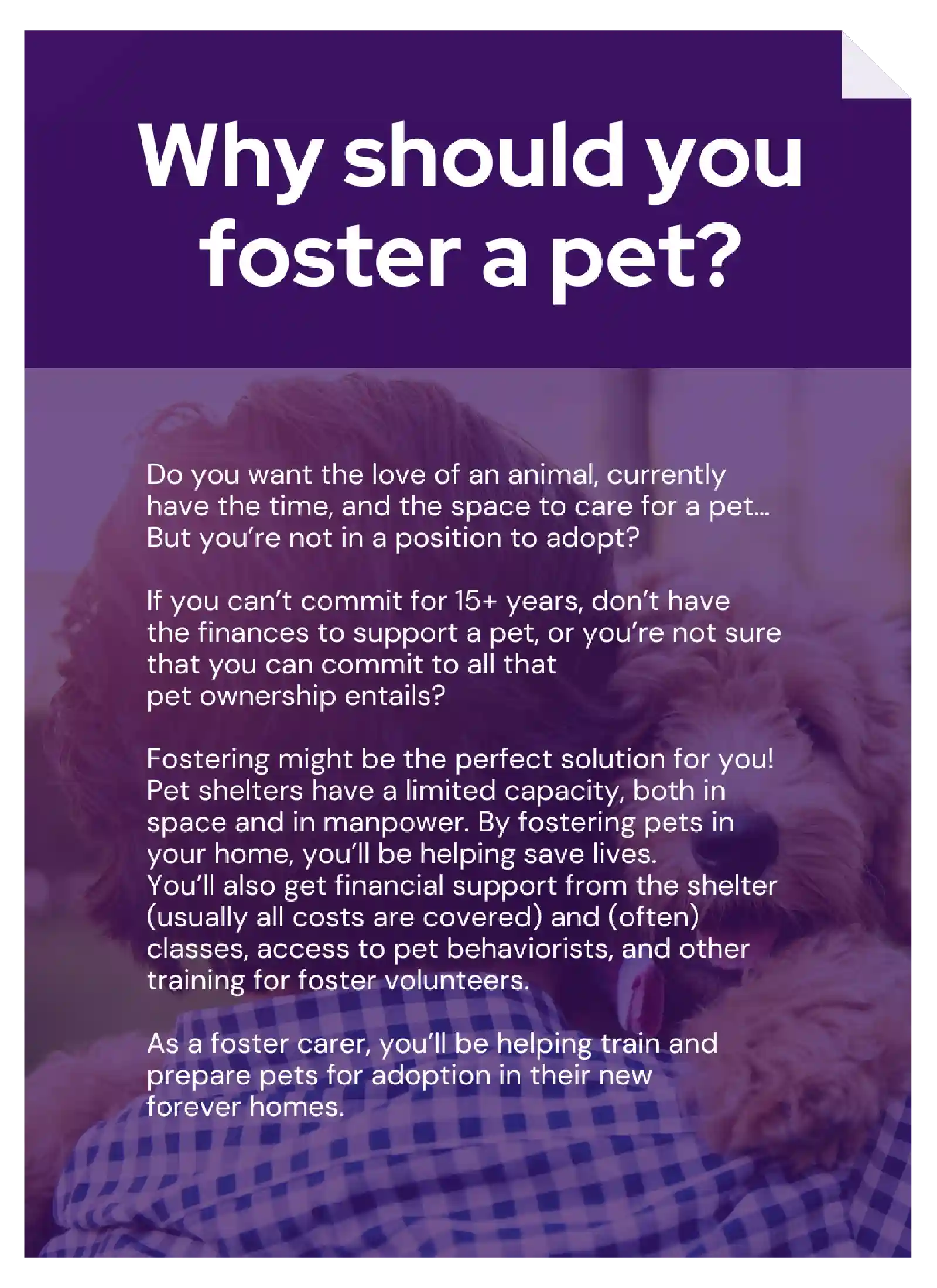Vetstoria content pack - foster a pet feature image 2