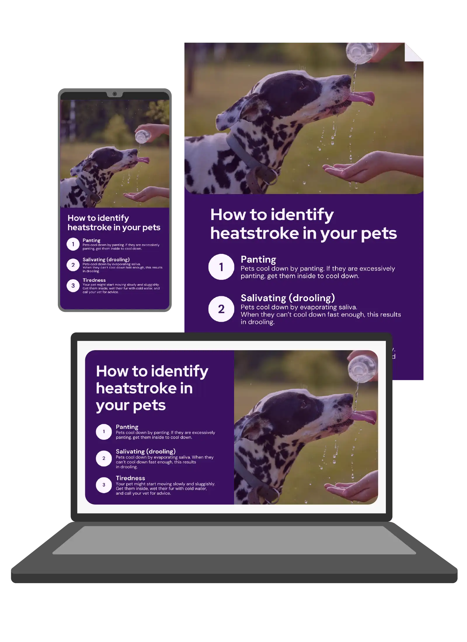 Vetstoria content pack - heatstroke awareness feature image 1