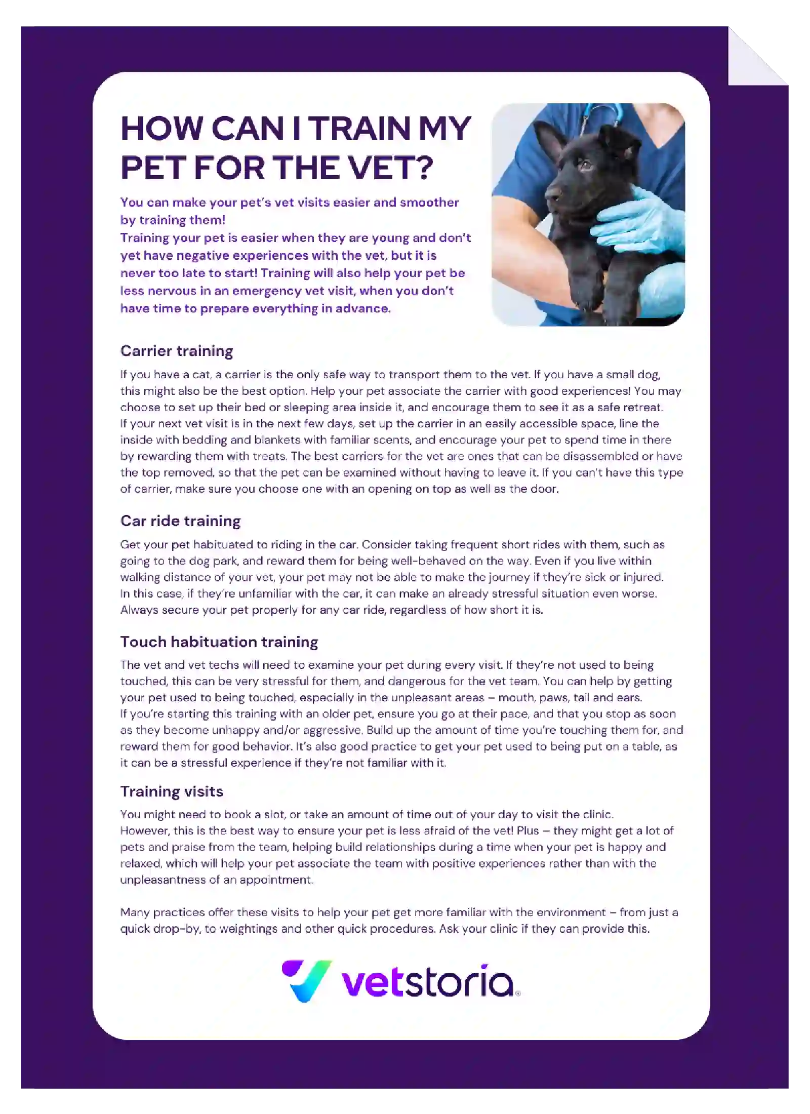 Vetstoria content pack - prepare pet for vet feature image 2