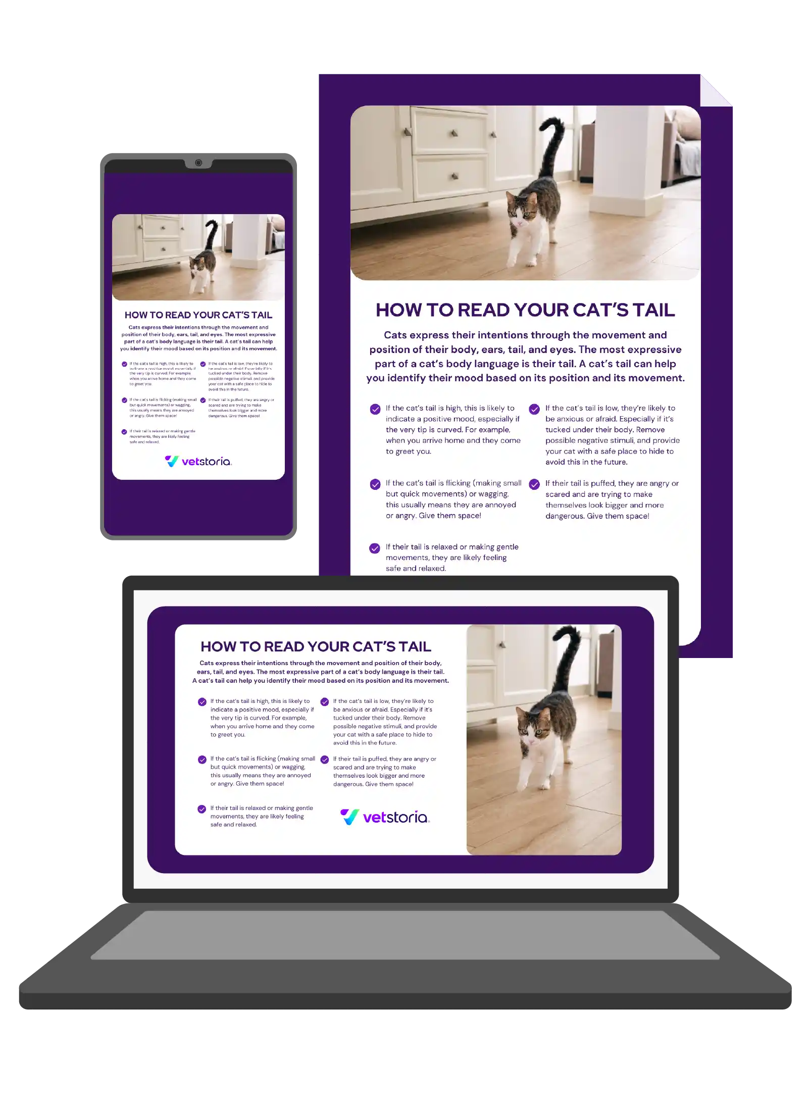 Vetstoria content pack - understanding pet body language feature image 2
