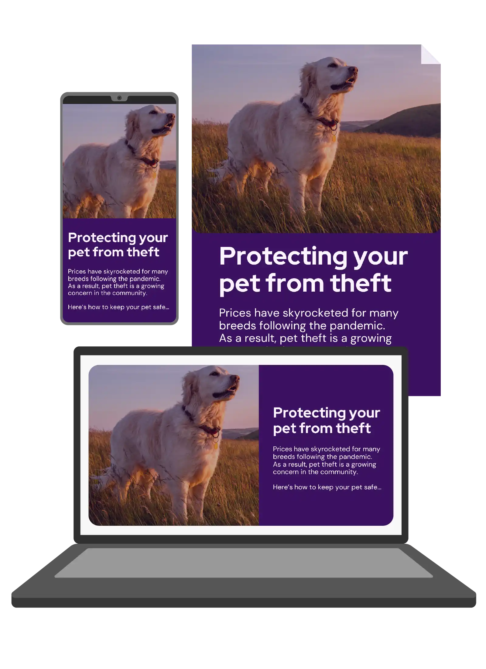 Vetstoria content packs - protect pets from theft feature image 1