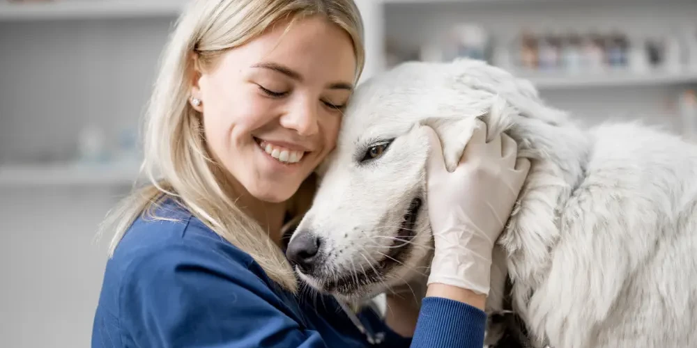 Vetstoria - Benefits - Reduce employee stress & burnout at vet practices