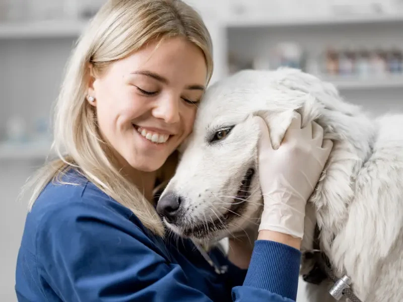 Vetstoria - Benefits - Reduce employee stress & burnout at vet practices