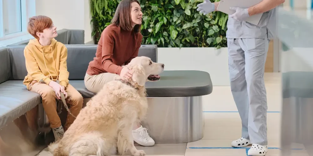 Vetstoria - Benefits - Reduce no shows at vet practices