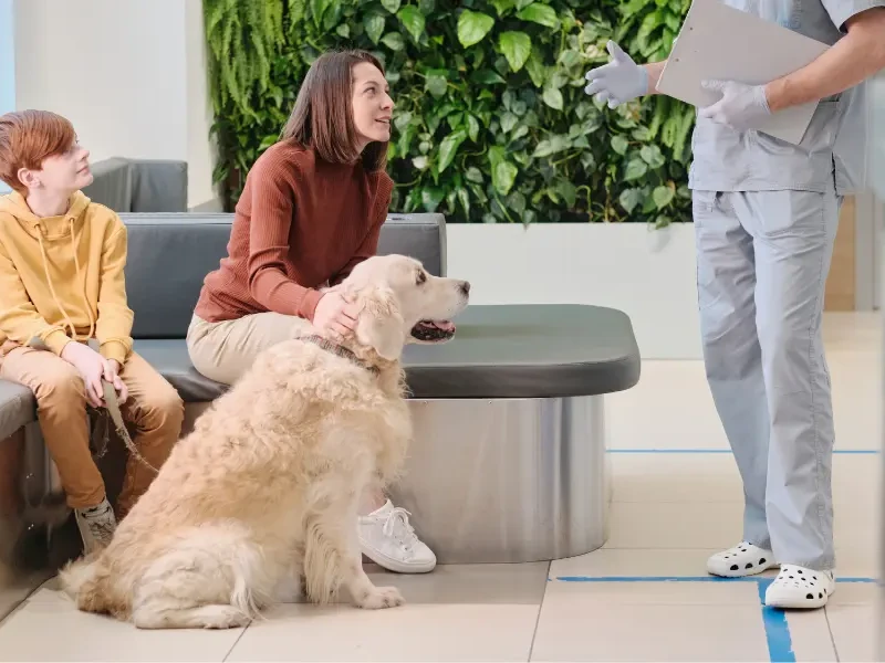 Vetstoria - Benefits - Reduce no shows at vet practices