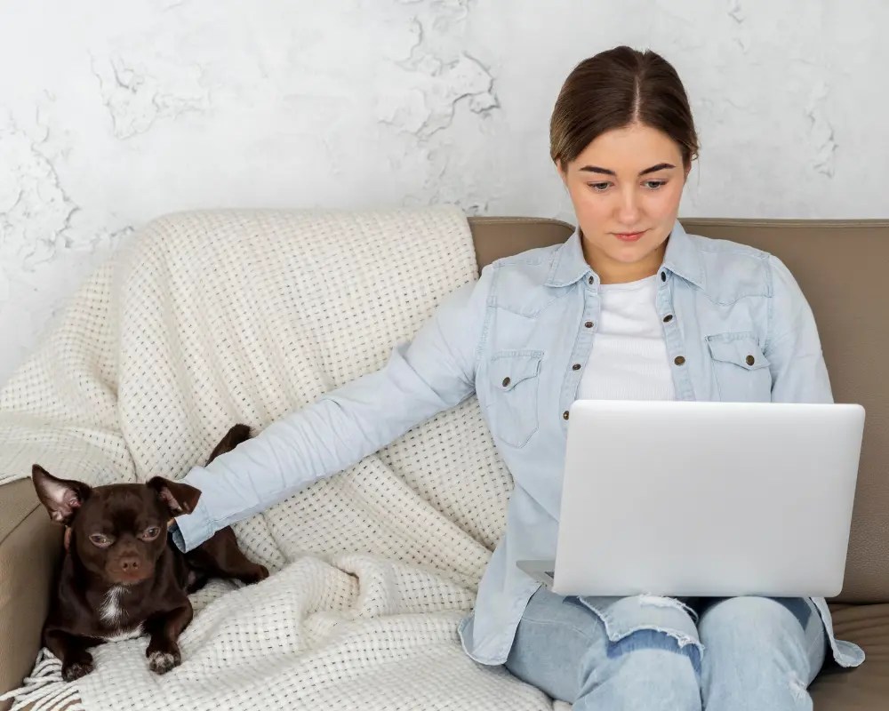 Vetstoria Online Booking Software for Veterinary Practices