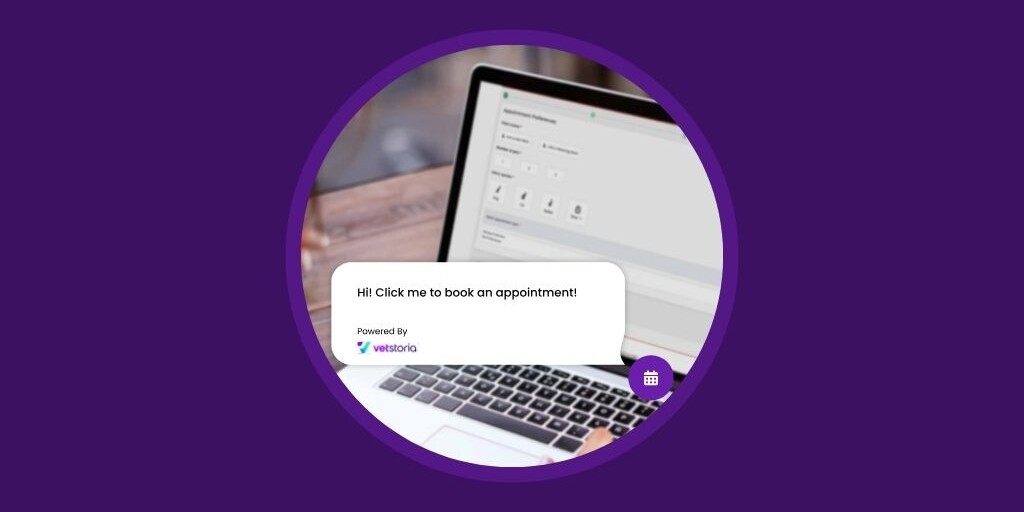 Vetstoria blog - How a Floating Button on Your Veterinary Website Drives 19% More Bookings