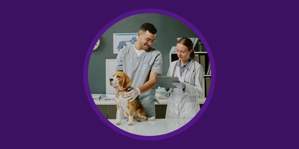 Vetstoria blog - The Essential Veterinary Inpatient Checklist - Streamlining Admissions and Treatment