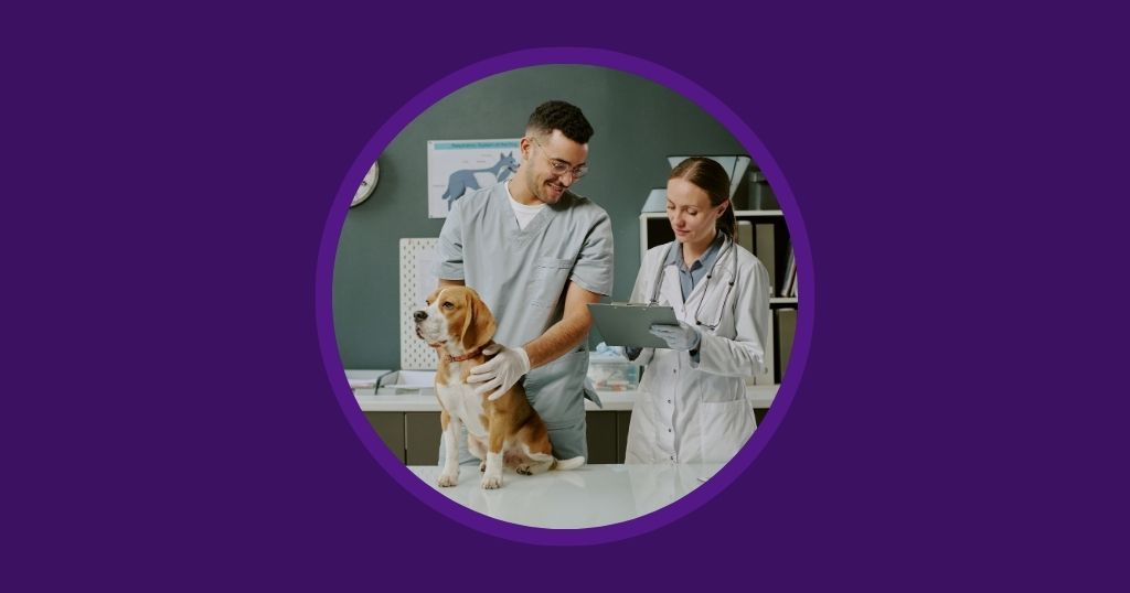 Vetstoria blog - The Essential Veterinary Inpatient Checklist - Streamlining Admissions and Treatment