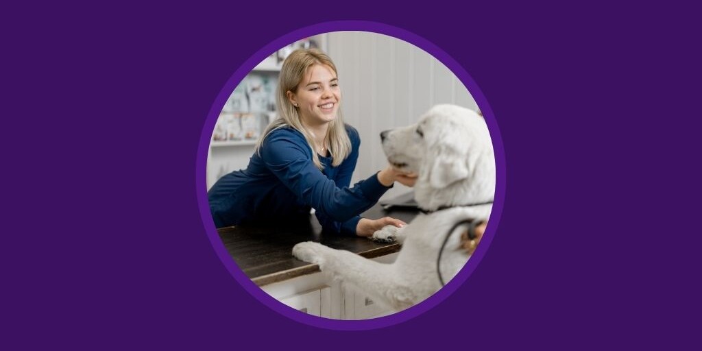 Vetstoria blog - The Essential Veterinary Receptionist Checklist Elevate Your Client Experience