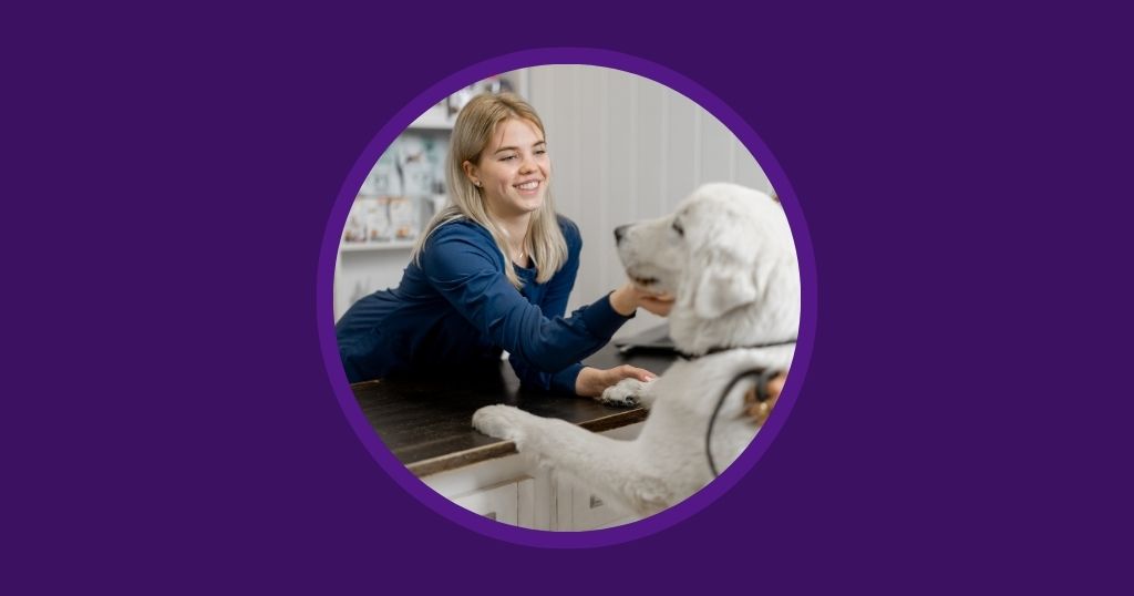 Vetstoria blog - The Essential Veterinary Receptionist Checklist Elevate Your Client Experience
