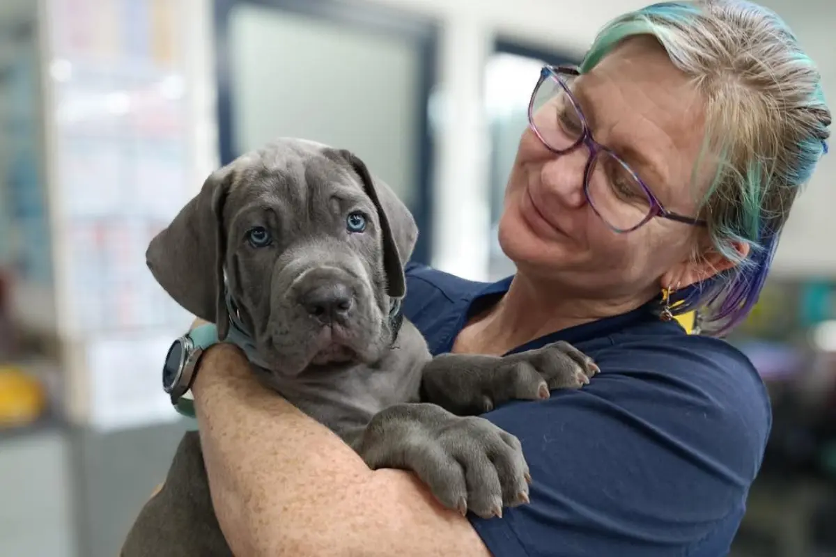 Cairns Vet Clinic AU