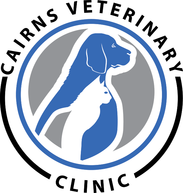 Cairns Veterinary Clinic logo case study