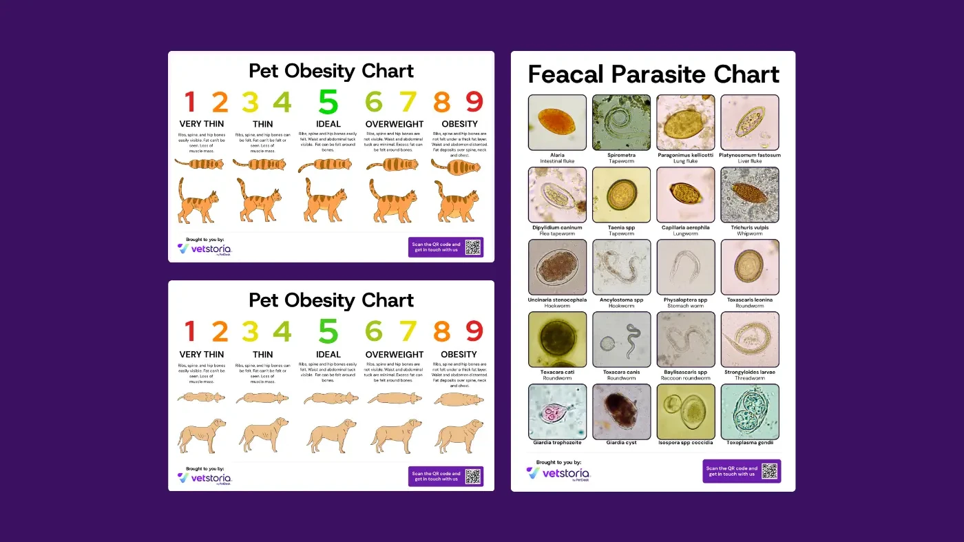 Pet Obesity and Feacal Parasite Charts - Vetstoria by PetDesk