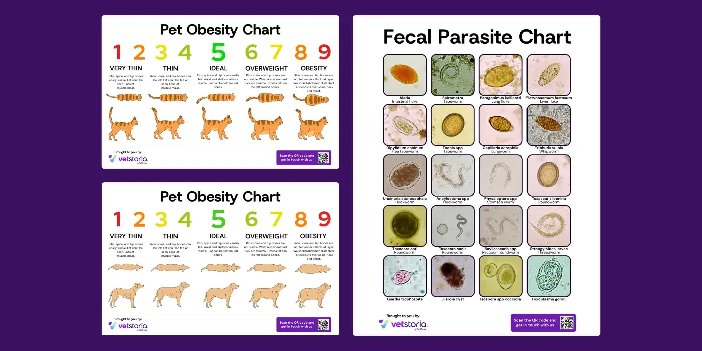 Veterinary Client Education Resource Pack - Vetstoria by PetDesk