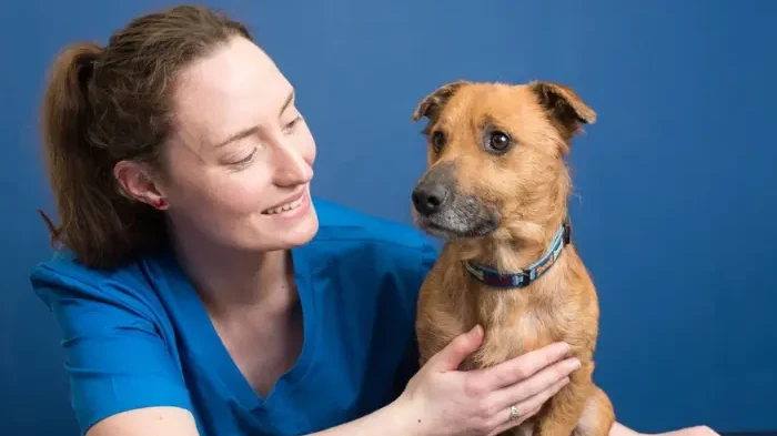 Village vets case study for Vetstoria direct booking 1