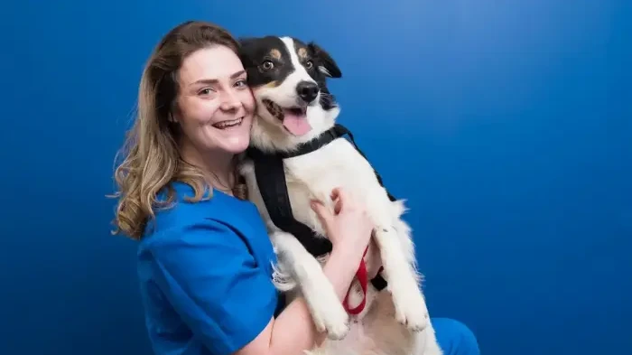 Village vets case study for Vetstoria direct booking - clinic pov
